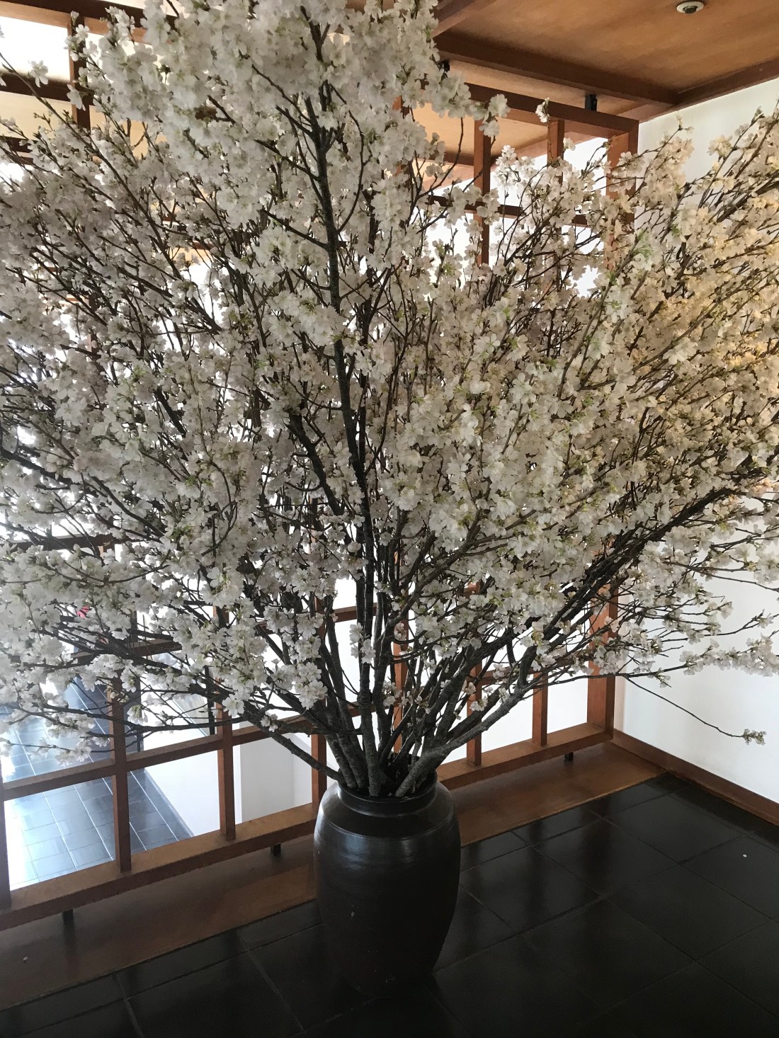 WUkDjk+ZSICln75Pg8O2yg